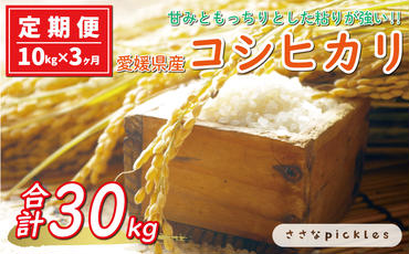 新米 令和6年産 定期便 10kg × 3回 コシヒカリ 合計 30kg お米 白米 こしひかり 米 こめ 精米 産地直送 国産 農家直送 期間限定 数量限定 特産品 令和6年度産 2024年産 大粒 もっちり 粘り 甘み おいしい おにぎり 人気 内祝い お祝い 贈答品 お返し プレゼント 土産 御礼 お礼 お取り寄せ 愛南町 愛媛県 ささなピクルス