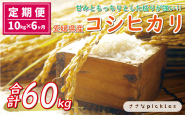 新米 令和6年産 定期便 10kg × 6回 コシヒカリ 合計 60kg お米 白米 こしひかり 米 こめ 精米 産地直送 国産 農家直送 期間限定 数量限定 特産品 令和6年度産 2024年産 大粒 もっちり 粘り 甘み おいしい おにぎり 人気 内祝い お祝い 贈答品 お返し プレゼント 土産 御礼 お礼 お取り寄せ 愛南町 愛媛県 ささなピクルス