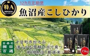 【令和6年産新米予約】12カ月 定期便 日本棚田百選のお米 天空の里 魚沼産 こしひかり 15kg(5kg×3)×12回 米 お米 コメ