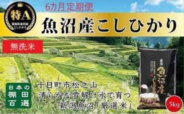 【令和6年産新米予約】 無洗米 6カ月 定期便 日本棚田百選のお米 天空の里 魚沼産 こしひかり 5kg×6回 米 お米 コメ