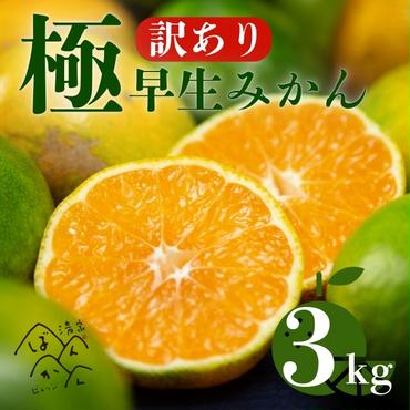 [訳あり]愛媛みかん ( 極早生 ) 3kg[発送時期:9月下旬〜10月下旬]2S-Lサイズ サイズミックス 愛媛みかん 温州みかん 一番みかん 柑橘 みかん 少量 お試し 試供品 5000円 愛媛県 愛南町 清家ばんかんビレッジ