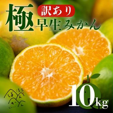 【訳あり】愛媛みかん （ 極早生 ） 10kg【発送時期：９月下旬～１１月下旬】2S-Lサイズ サイズミックス 愛媛みかん 温州みかん 一番みかん 柑橘 みかん 愛媛県 愛南町 清家ばんかんビレッジ