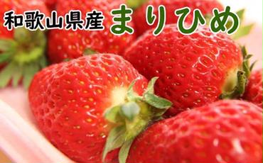 【4月発送】和歌山県産ブランドいちご「まりひめ」約300g×2パック入り ※北海道・沖縄・離島への配送不可 ※2025年4月上旬～4月下旬頃に順次発送予定