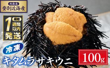 登別近海産冷凍キタムラサキウニ（パック詰）100g