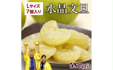 水晶文旦 Lサイズ 7個入り 約3kg 3キロ 果物 柑橘 フルーツ ぶんたん ブンタン みかん 分担 高知県土佐市 お取り寄せ 産地直送 おいしい 美味しい 返礼品 白木果樹園