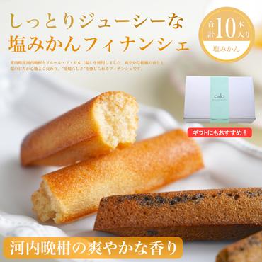 フィナンシェ 塩みかん 10本セット お菓子 焼き菓子 バレンタイン ホワイトデー 河内晩柑 愛南ゴールド バター入り 10個 スイーツ 詰め合わせ 贈答 プレゼント 贈り物 ギフト 個包装 crelo 愛媛県 愛南町