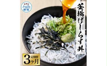 《3ヶ月定期便》高知県産釜揚げしらす×8パック 定期便 定期コース 3回 簡易梱包 小分け 国産 釜揚げ シラス丼 海鮮丼 ゆず付 お茶漬け 軍艦巻き 手巻き寿司 冷凍配送 おかず お取り寄せ