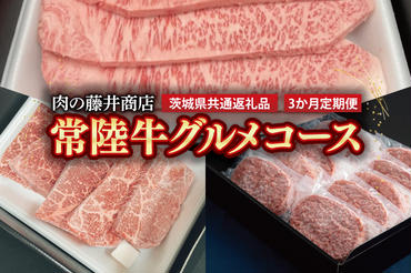 FL-30　【常陸牛】肉の藤井商店（定期便）常陸牛グルメコース ～至福の3ヶ月～ 定期便 3か月 贅沢牛肉定期便 高級牛肉 贅沢牛肉 毎月お届け 最高級牛肉 ギフト定期便 豪華牛肉 A5 厳選 サーロイン モモステーキ ハンバーグ 高級ステーキ 特選ステーキ お中元 お歳暮 国産 牛肉 肉 お肉 最高級 ブランド牛 贈答 化粧箱 黒毛和牛 和牛 国産黒毛和牛 国産牛（茨城県共通返礼品）