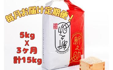 [通年受付]魚沼産新之助 精米5kg 全3回 十日町市 十日町 米