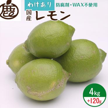 ZH7034_＜9月より発送＞家庭用 黒潮レモン4kg+120g（傷み補償分）【和歌山有田産】【防腐剤・WAX不使用、安心の国産レモン】【訳ありレモン】