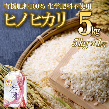 【11月上旬～発送】「ヒノヒカリ」5kg 先行予約 白米 精米 直前精米 新米 化学肥料不使用 有機米 お米 こめ コメ ヒノヒカリ ひのひかり 人気 兵庫県産 精米（07-48）