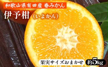 伊予柑（いよかん）［約5kg］和歌山県有田産 春みかん【果実サイズおまかせ】 ｜ 和歌山県産 柑橘 フルーツ 紀伊国屋文左衛門本舗 ※2025年1月中旬～2月中旬頃に順次発送予定