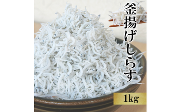 愛知県産 訳あり 天然 釜揚げしらす 1kg 冷凍 国産 無添加 無着色 つまみ ご飯 ごはん ピザ パスタ サラダ 新鮮 魚 さかな シラス 料理 丼 愛知県 南知多町 人気 おすすめ