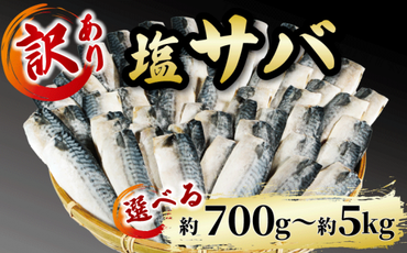 訳あり 塩サバ 約700g〜約5kg 冷凍 大容量 鯖 塩 さば 塩鯖 塩さば 魚 海鮮 海産物 おかず ご飯 おすすめ ギフト 贈答 切り身 不揃い サバフィーレ 鯖フィーレ フィーレ 焼き魚 人気 愛知県 南知多町 [配送不可地域:離島]