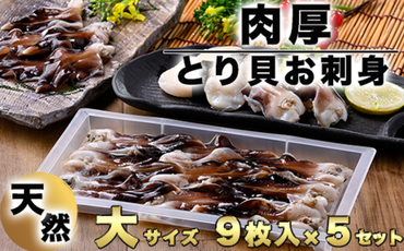 【天然】肉厚とり貝お刺身 とり貝【大９枚入り】５セット 岬だより