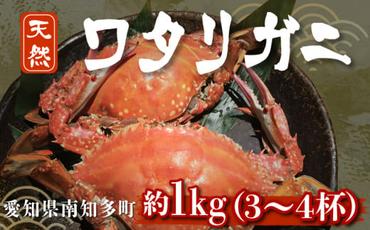 訳あり ボイル ワタリガニ 1kg ( 3～4杯 ) 茹で 渡り蟹 カニ 蟹 魚介 海鮮 新鮮 冷凍 パスタ 鍋 なべ 味噌汁 味噌 みそ 愛知県 南知多町 人気 おすすめ 【離島不可】