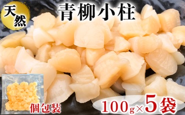 岬だよりの＜貝専門店＞天然の青柳小柱　100g×5袋