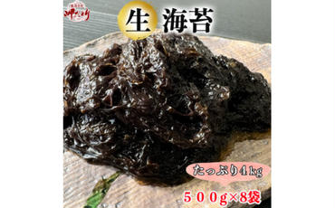 岬だよりの生海苔(冷凍)500g×8袋(4kg)