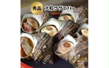 秀品サザエ1kg 刺身・生食可(CAS冷凍で新鮮)大粒約6～7コ