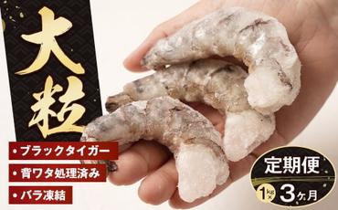 [定期便3ヶ月]至福の大粒むきえび 背ワタ処理済 1kg [むきえび ムキエビ むきえび ブラックタイガー ムキエビ むきえび 大粒 ムキエビ むきえび 大型 ムキエビ むきえび ムキエビ むきえび ムキエビ むきえび ムキエビ むきえび ムキエビ むきえび ムキエビ むきえび ムキエビ むきえび ムキエビ むきえび ムキエビ]