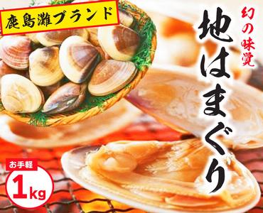 鹿島灘特産★ブランド地はまぐり（お手軽１kg）（KBL-3）