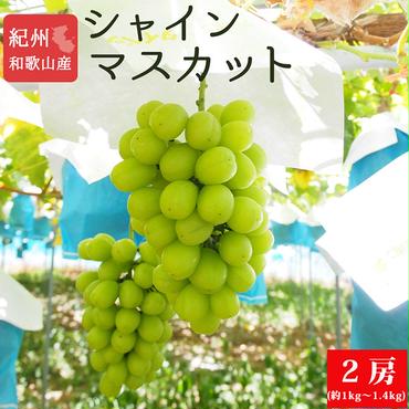 紀州和歌山産シャインマスカット2房（約1kg?1.4kg） ※2025年8月下旬頃?9月上旬頃に順次発送予定