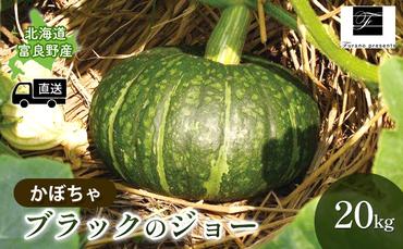 【2025年9月～発送】北海道 富良野市 かぼちゃ ブラックのジョー 20kg ふらの 野菜 カボチャ 数量限定 (フラノプレゼンツ)