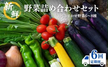 【定期便6回】新鮮 野菜 詰め合わせ セット