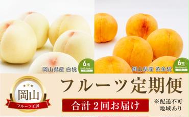 桃 定期便 2025年 先行予約 晴れの国 岡山 の フルーツ 定期便 2回コース 桃食べ比べ 岡山県産 国産 セット ギフト