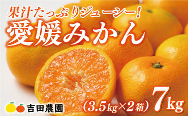 先行予約 愛媛みかん 合計 7kg （ 3.5kg × 2箱 ） 16000円 愛媛 みかん 温州みかん こたつ みかん mikan 蜜柑 ミカン 家庭用 贈答用 ギフト プレゼント お歳暮 産地直送 国産 農家直送 糖度 期間限定 数量限定 特産品 ゼリー ジュース アイス 人気 限定 甘い フルーツ 果物 柑橘 先行 事前 予約 受付 ビタミン 美味しい おいしい 愛南町 愛媛県 吉田農園