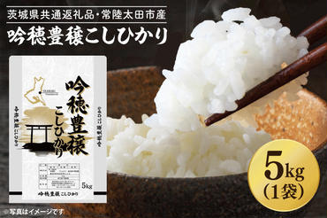 ＜令和6年産＞ 新米 吟穂豊穣こしひかり 5kg 精米 特別栽培 (茨城県共通返礼品・常陸太田市産) 新米 コシヒカリ こしひかり 米 ごはん コメ お米 白米 国産 茨城県産
