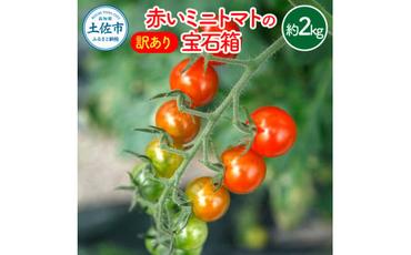 訳あり 赤いミニトマトの宝石箱 約2キロ 約2kg トマト とまと ミックス 詰め合わせ セット 野菜 料理 サラダ マリネ パスタ 浅漬け おやつ 弁当 甘味 酸味 新鮮 訳アリ 家庭用 ご自宅用