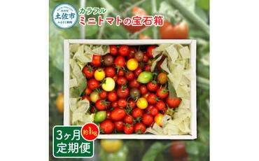 カラフルミニトマトの宝石箱 約1キロ 定期便3ヶ月 約1kg トマト とまと 詰め合わせ セット 15品種以上 野菜 料理 サラダ マリネ パスタ 浅漬け おやつ 弁当 甘味 酸味 新鮮 おいしい