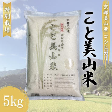 令和6年度産 新米 コシヒカリ 5kg 美山町産 こと美山米 特別栽培米