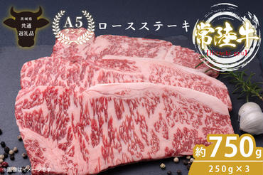 最高級A4.A5ランク 常陸牛ロースステーキ750ｇ（250g×3）【人気肉 お肉 牛肉 和牛 黒毛和牛 国産黒毛和牛 ロース肉 ステーキ 国産牛 焼肉 焼き肉 バーベキュー BBQ A5 ブランド牛】(CR002)