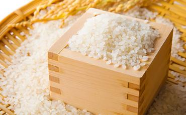 小諸 御牧ヶ原産 こしひかり 10kg　長野 信州 コシヒカリ 精米 美味しいお米 お取り寄せ