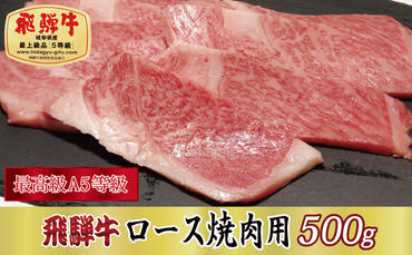 【最高級A5等級】飛騨牛ロース焼肉用500g