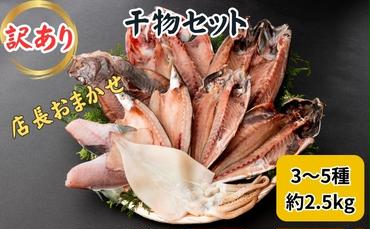 四季の揚げかまぼこ10種セット 蒲鉾 カマボコ 詰め合わせ 富山 魚津