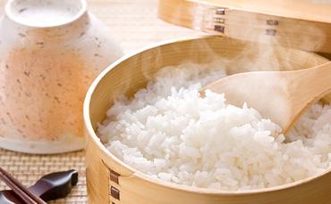 岐阜県揖斐郡産 味のいび米 はつしも 精米20kg