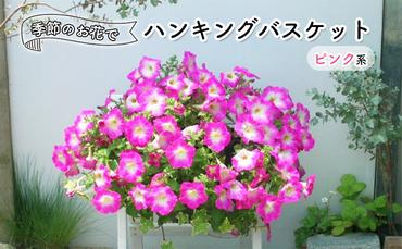花 季節のお花でハンキングバスケット ピンク系 植物 ガーデニング ガーデン インテリア