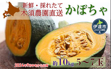 伊達【木須農園】のかぼちゃ＜ダークホース＞約10kg