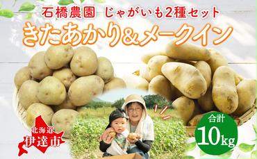  北海道 じゃがいも 2種 きたあかり メークイン 食べ比べ セット 各5kg 計10kg LM～2Lサイズ 馬鈴薯 キタアカリ 北あかり メイクイーン ポテト イモ 根菜 農作物