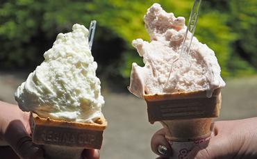手作りジェラート詰合せA　5種 計15個｜北海道 滝川市 ジェラート アイス 手作り デザート アイスクリーム ミルク