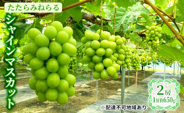 ぶどう 2024年 先行予約 たたらみねらる シャインマスカット 2房（1房約650g） 岡山県産 葡萄 果物 フルーツ