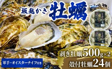  牡蠣 坂越かき 剥き牡蠣 500g×2、殻付き牡蠣 24個 軍手・オイスターナイフ付き[ 生牡蠣 かき カキ 生食 冬牡蠣 ]