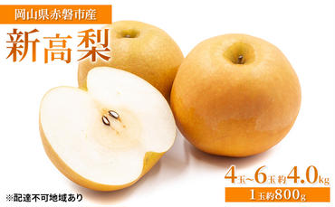 梨 2024年 先行予約 新高梨 4玉～6玉 約4.0kg（1玉約800g）岡山県赤磐市産【配達不可：離島】 なし フルーツ 果物