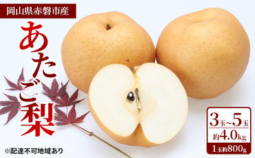 梨 2024年 先行予約 あたご梨 3玉～5玉 約4.0kg（1玉約800g）岡山県赤磐市産【配達不可：離島】 なし フルーツ 果物