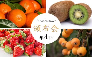 【4回お届け】土庄町 季節の果物