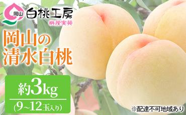 桃 2024年 先行予約 清水 白桃 3kg 9～12玉 もも モモ 岡山 国産 フルーツ 果物 ギフト 桃茂実苑 