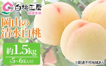 桃 2024年 先行予約 清水 白桃 1.5kg 5～6玉 もも モモ 岡山 国産 フルーツ 果物 ギフト 桃茂実苑 